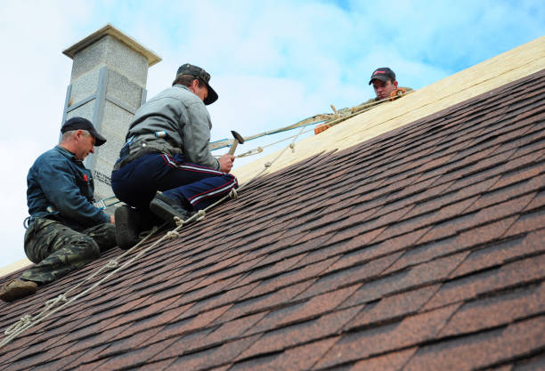 Best Local Roofing Companies  in Lake Ridge, VA