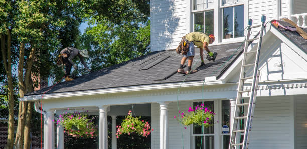 Best Roof Maintenance Services  in Lake Ridge, VA