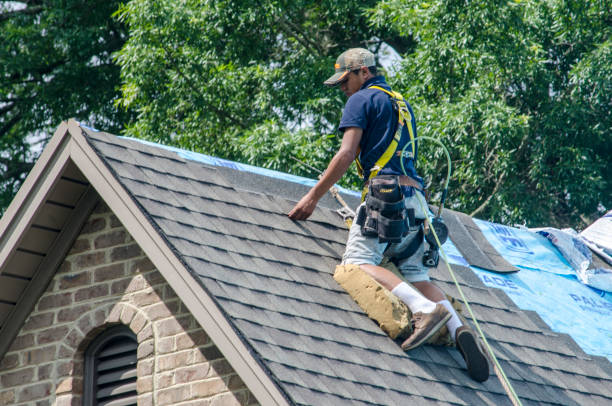 Roof Gutter Cleaning in Lake Ridge, VA
