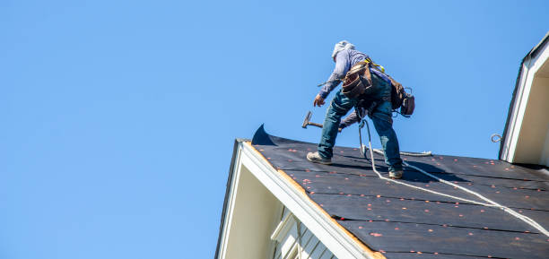 Best Emergency Roof Repair  in Lake Ridge, VA